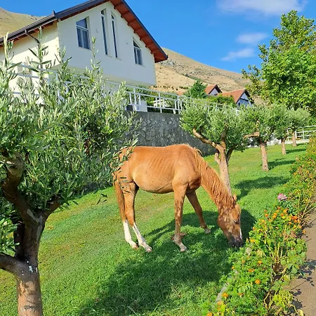 Xhuli Shirokë